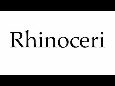 How to Pronounce Rhinoceri