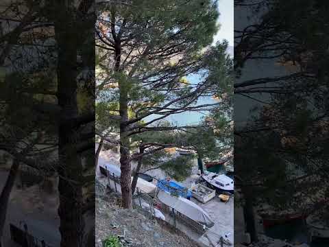 IL Gigante di Monterosso al Mare