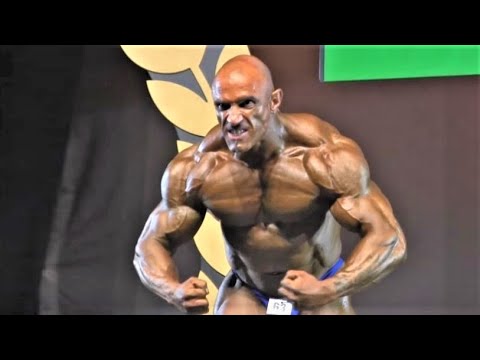 David Gartmann (SUI), NABBA Worlds 2013