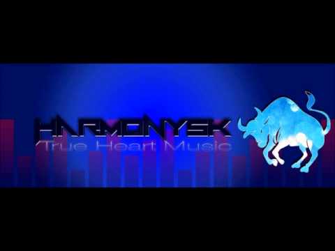 Harmonysk - feat. - Cella - Der Tag danach !