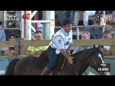 1-BOCAL OURO Macho -JACINTO CALA BASSA-TE BOX77 2024