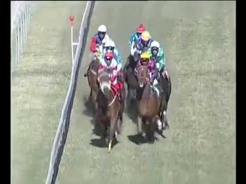 2016.07.09 Winter Stakes (MRI) - Bold Inspiration