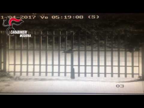 Vandali rubano autobus e sfondano il cancello del Meucci di Carpi