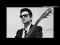 Roy Orbison - All I Have To Do Is Dream (1967 remastered)