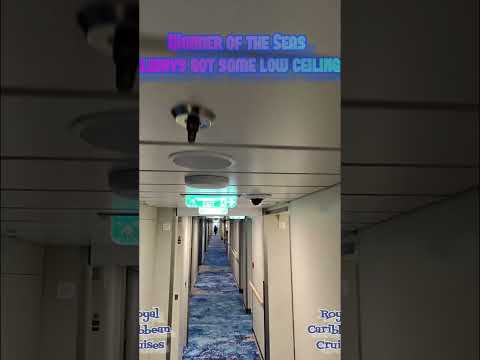 Thumbnail for Wonder of the Seas Royal Caribbean Cruise #royalcaribbean #cruiseship #tallpeopleproblems #florida