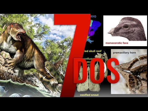 Baby Dinosaurs Were Very Cute & Purussaurus Ate Ground Sloths - 7 Days of Science