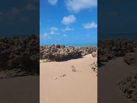 #PraiaDoCoqueirinho ☀️🌊🌴⛱️ #Conde #Paraiba