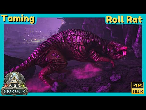 Ark - Fjordur : Taming a Roll Rat