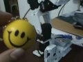 ROBOTIS Bioloid Anacobra Robot My Beginner S Kit