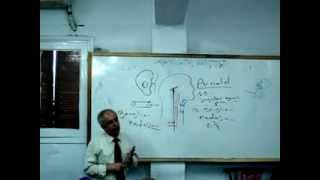 10-Glossopharyngeal nerve & Vagus nerve & Pharyngeal Plexus & Accessory Nerve.