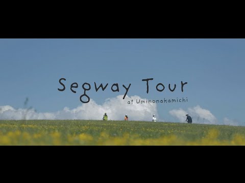 【初心者向け】ベスト電器スタジアム 観戦ガイド|試合日程・アクセス指南・福岡&太宰府観光も紹介! 46 動画サムネイル