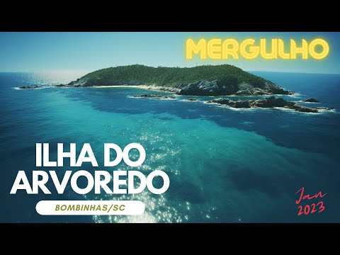 Mergulho: Ilha do Arvoredo (Bombinhas/SC) - Janeiro de 2023
