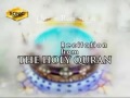 Dil Py Kalmey Ki Zarab Laga