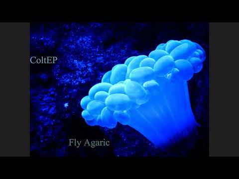 ColtEP - Fly Agaric [Deepindub.org] [Deep, Dub, House, Minimal, Techno]