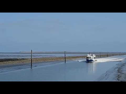 WATTNEXPRESS  - von Spiekeroog kommend 😍🌊👍#ostfriesland #insel #küste #ship