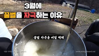 꿀벌들을 자극해서 얻을 수 있는 것, 3월에 꿀벌을 자극해줘야 하는 이유.