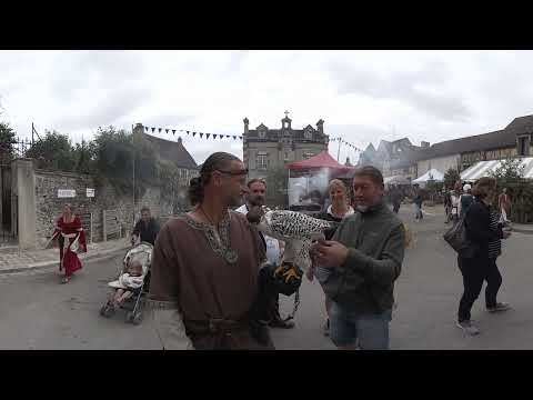 Fireshow VR 360° Provins, France