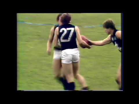 1983 Round 10 Carlton Highlights - Carlton vs North Melbourne