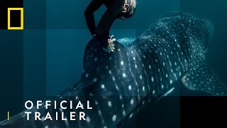 Perpetual Planet: Heroes of the Oceans | Official Trailer | National Geographic UK