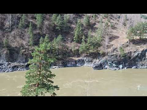 Обзор смартфона Samsung Galaxy A56: игра в классики / Смартфоны