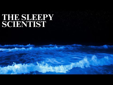 The Secret Life of the Sea | The Sleepy Scientist