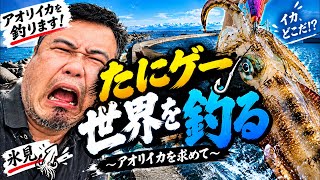 今釣ったコウイカを捌くぞ