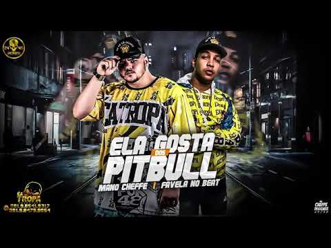 MANO CHEFFE E FAVELA NO BEAT - ELA GOSTA DOS PITBUL MÚSICA NOVA EXCLUSIVA 2020