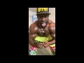 MUSCLE DANCE (Challenge)