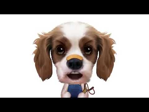 Un chien qui chante joyeux anniversaire