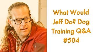 Train a dog that shuts down | Puppies scared of people | What Would Jeff Do? Dog Training Q &amp; A #504