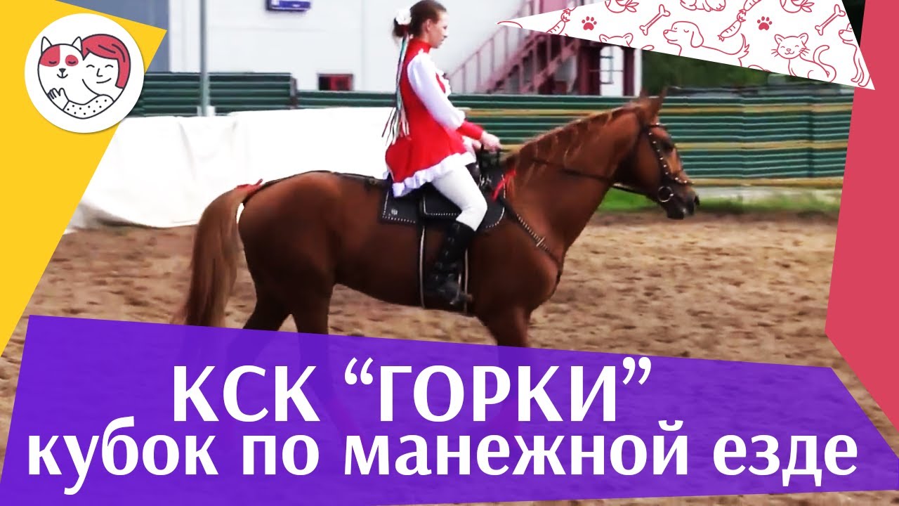 Летний кубок КСК Горки по манежной езде КЮР часть 40 на ilikepet