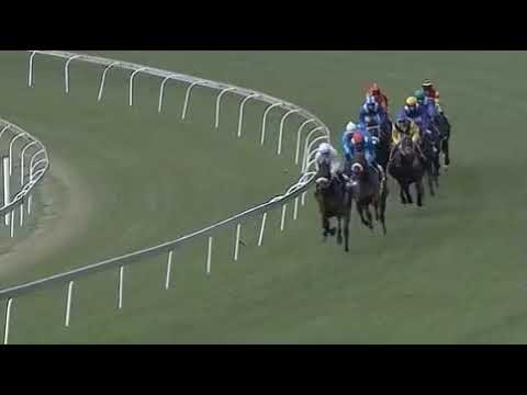 2019 Grade 1 SA Classic - Hawwaam