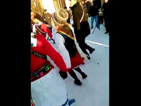 Artisti 2014-2015 Oteleni jud Iasi