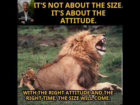 It's not about the size. It's about the attitude.