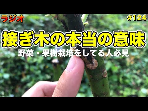 なぜ8月に果樹を接ぎ木するのでしょうか？どうすればうまくいきますか？  庭園