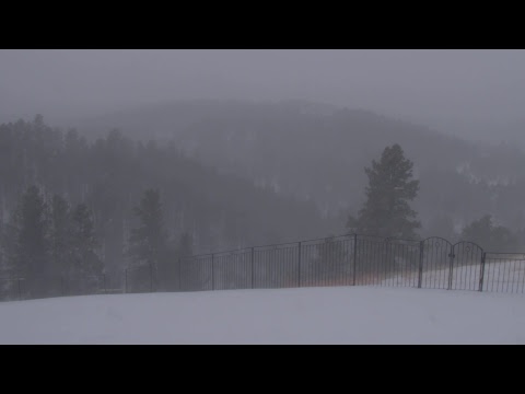 Live Stream - Blizzard, ZT Research Observatory, 2019-03-13