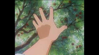 Trigun AMV  - &quot;Grow&quot; - The Oh Hellos