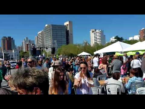 Con una gran convocatoria, finalizó la 12° edición de la Fiesta del Alcaucil Platense