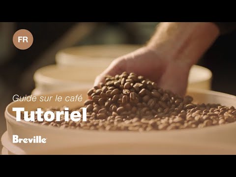 miniature vidéo