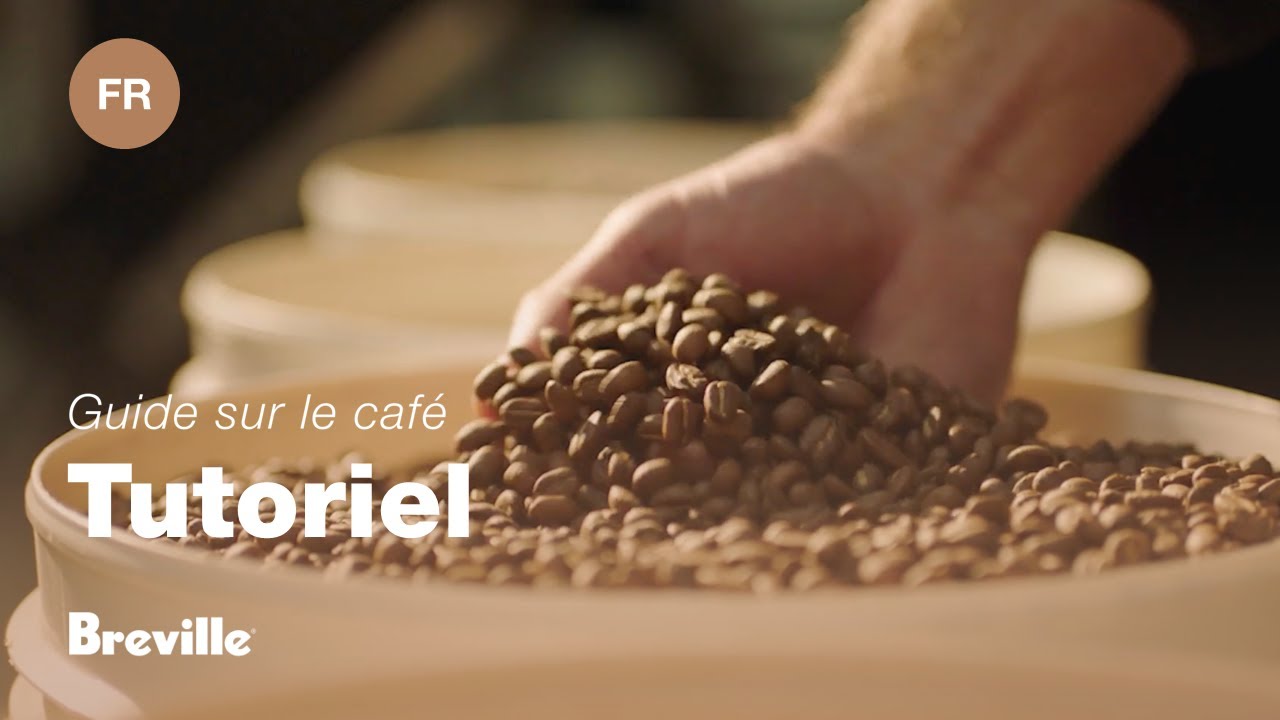 Guide didactique du café Breville - Choisir les bons grain