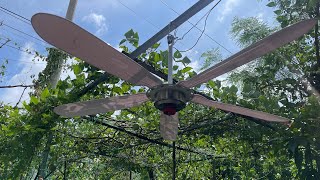 Close-up test of 12v-24v ceiling fan (zalo 0972234185)