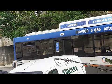 STCP Linha 805 Veiculo 3131