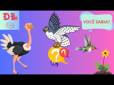 Curiosidade sobre as aves para crianças