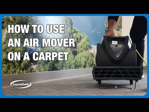 Part of a video titled How to Use an Air Mover on Carpet | Step-by-Step Drying Guide - YouTube