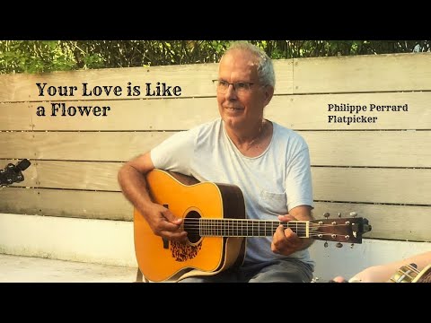 Your Love is Like a Flower