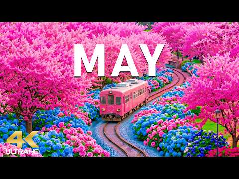 Spring in May 4K 🌸 Fresh Blossoms 2026 | Colorful Gardens & Soft Sunrise Glow (Ultra HD)