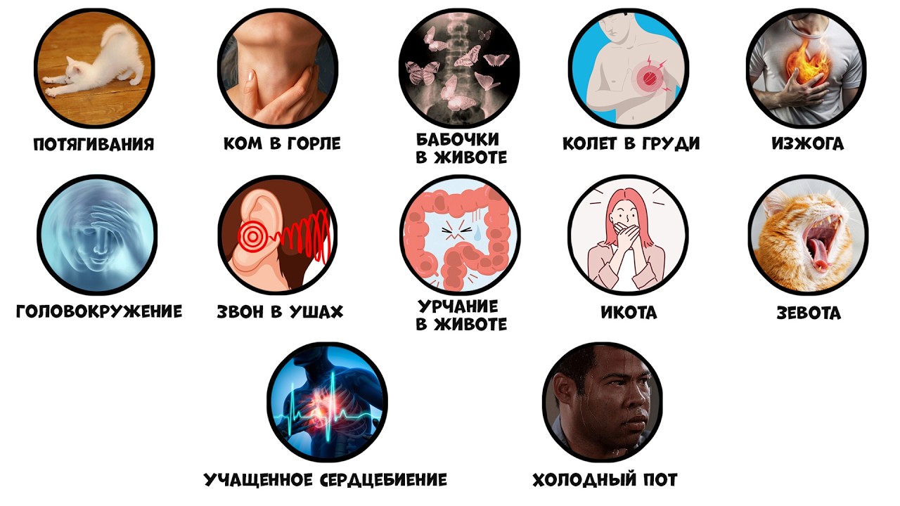 Все тревожащие ощущения тела за 8 минут