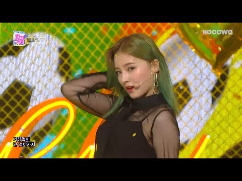 WJSN & Momoland & Pristin - Just Do Itㅣ우모프 - 거침없이 [Inkigayo Ep 962]