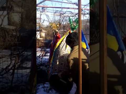 Capra de la Darloaia