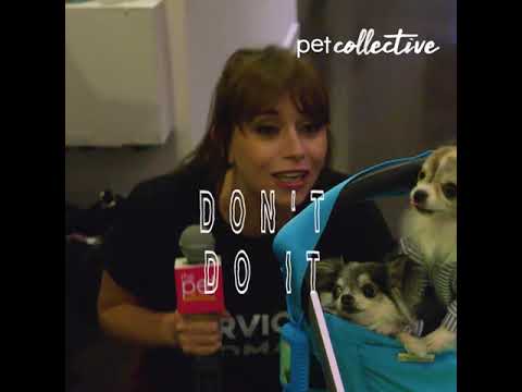 $60,000 Extreme Hide And Seek - Challenge   Jonas Brothers - What A Man Gotta Do (Official Video)